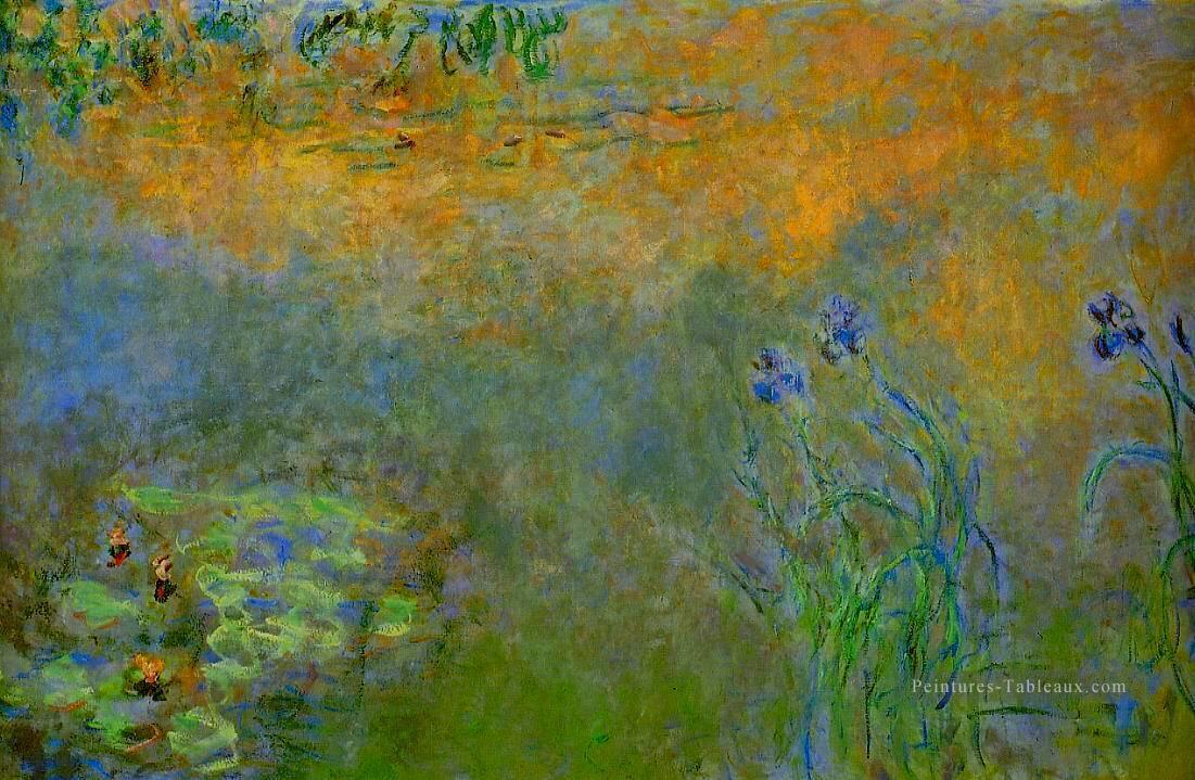 Étang aux nénuphars avec Iris Claude Monet Peintures à l'huile